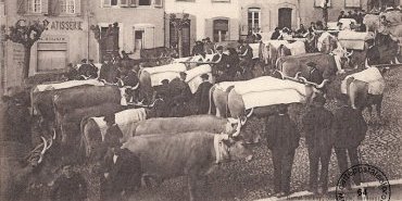 Oloron-Ste-Marie - jour de marche